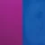 COLORFUL PURPLE